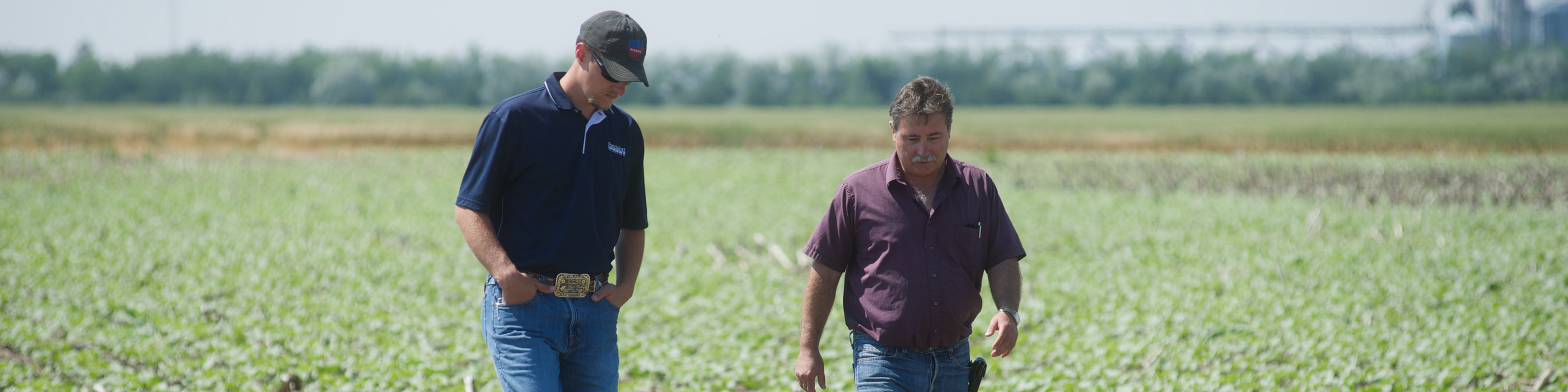 Dealer Locator Precision Planting