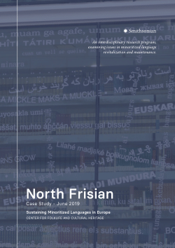 Measuring Effectiveness: A Study on Changes in Minority Language Use and Perception due to Revitalisation Efforts, with Evidence from North Frisian