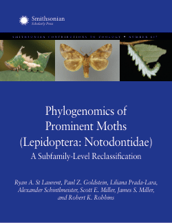 Phylogenomics of Prominent Moths (Lepidoptera: Notodontidae): A Subfamily-Level Reclassification
