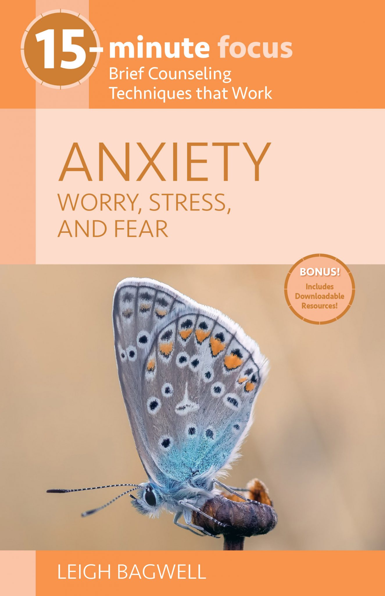 15-Minute Focus - ANXIETY: Worry, Stress, and Fear