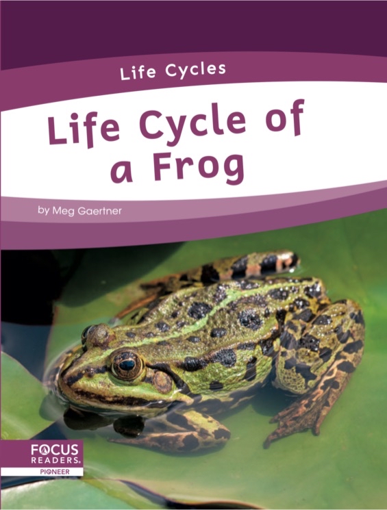 Life Cycle of a Frog