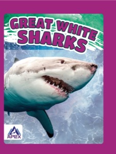 Great White Sharks
