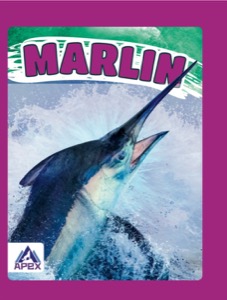 Marlin