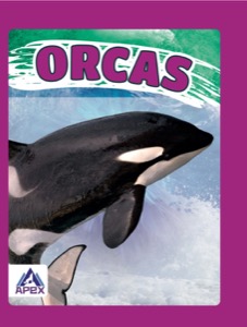 Orcas