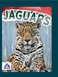 Jaguars