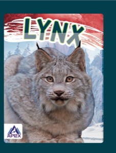 Lynx