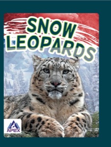 Snow Leopards