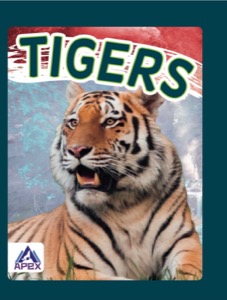 Tigers