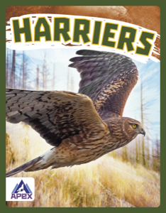 Harriers