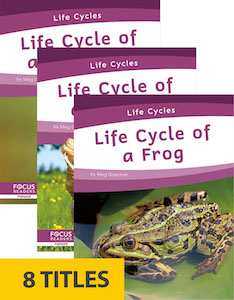 Life Cycles 