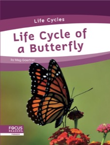 Life Cycle of a Butterfly