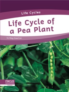 Life Cycle of a Pea Plant