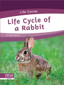 Life Cycle of a Rabbit