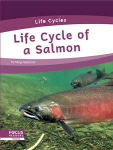 Life Cycle of a Salmon