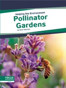 Pollinator Gardens