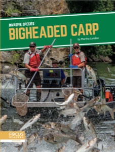 Bigheaded Carp