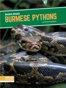 Burmese Pythons