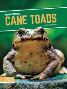 Cane Toads
