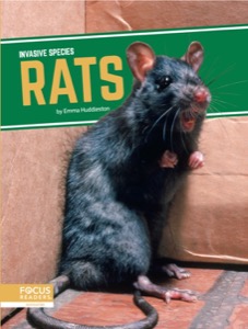 Rats