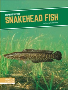 Snakehead Fish