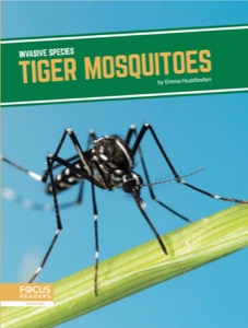 Tiger Mosquitoes