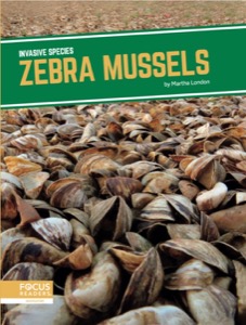 Zebra Mussels
