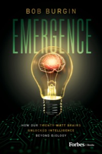 Emergence