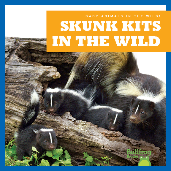 Skunk Kits in the Wild