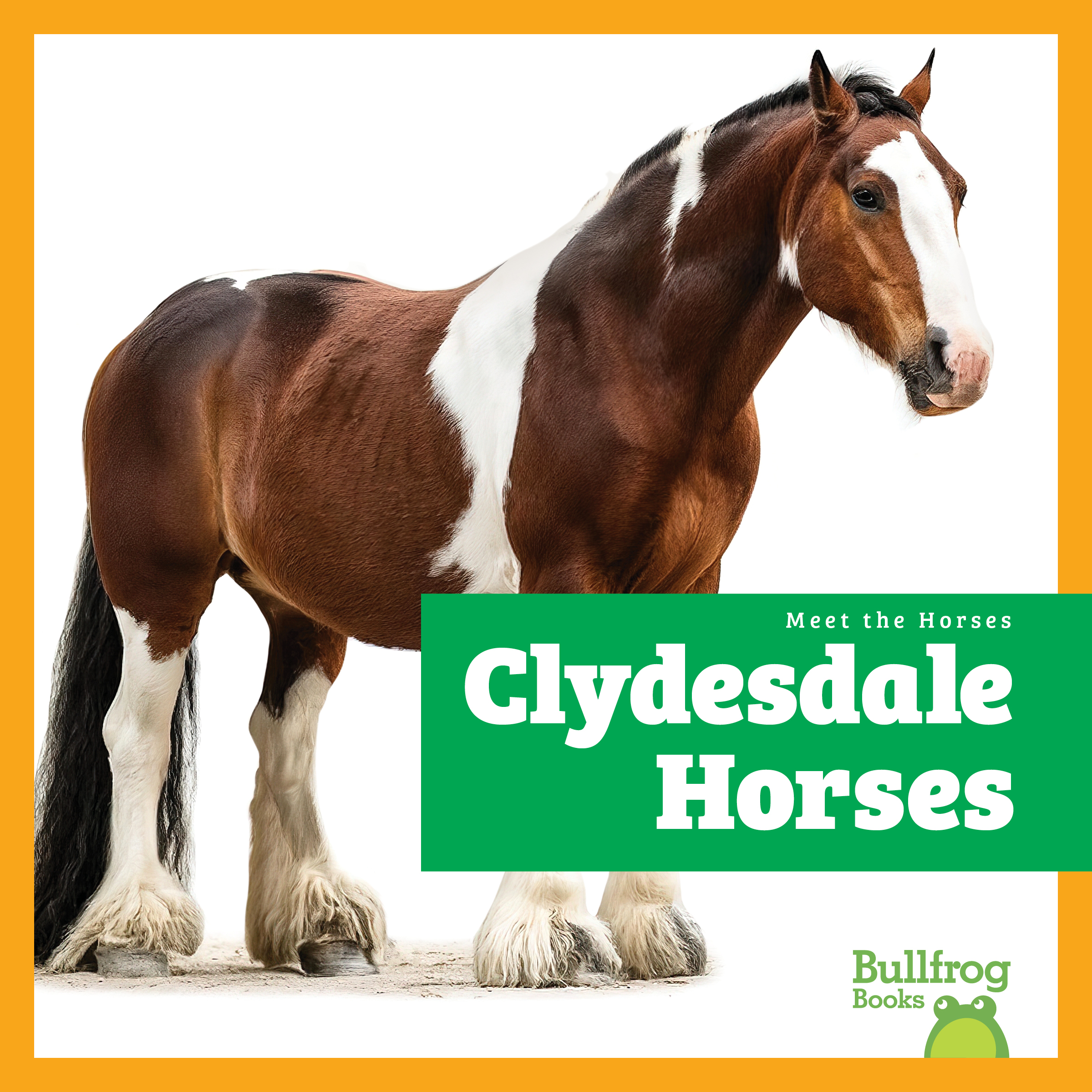 Clydesdale Horses