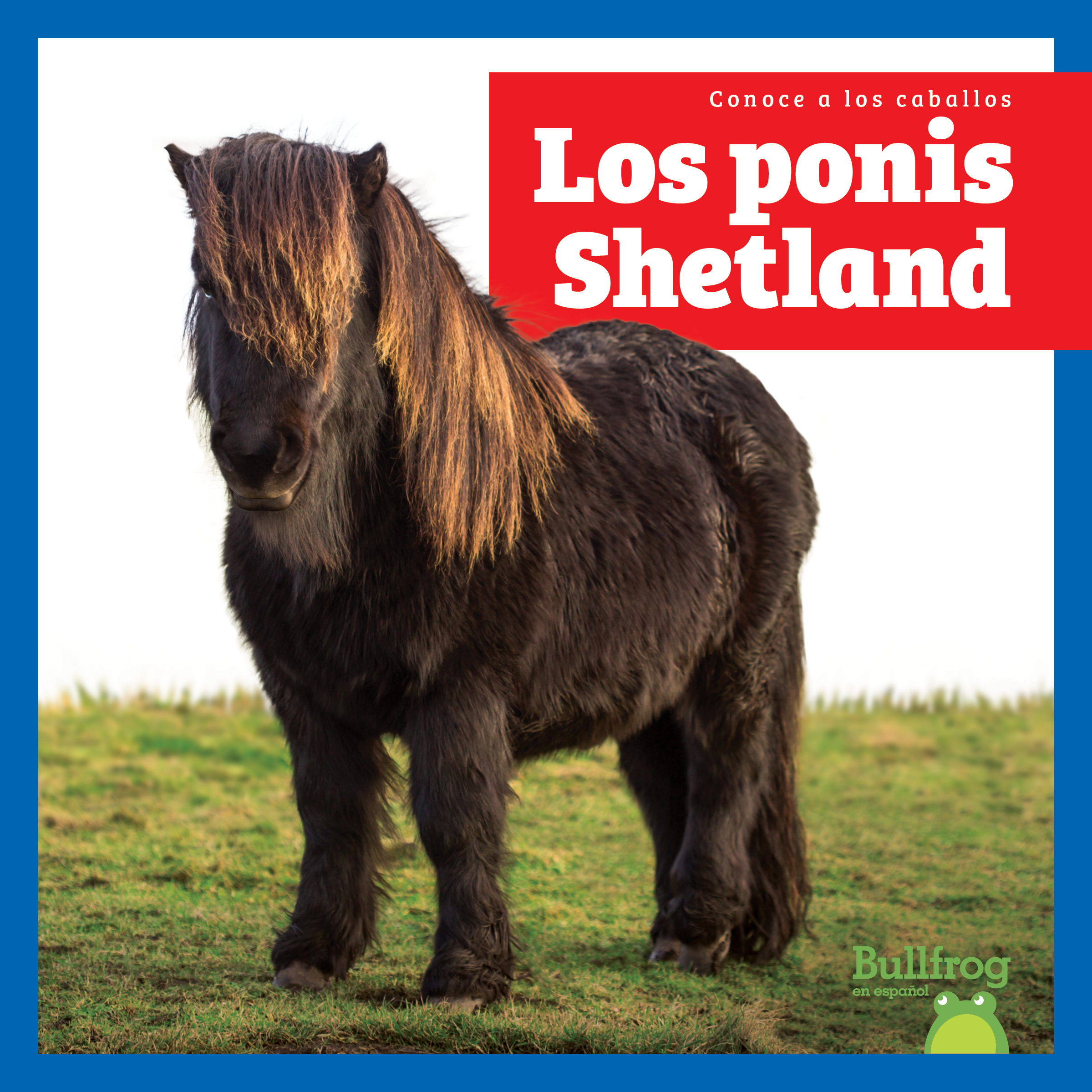 Los ponis Shetland (Shetland Ponies)