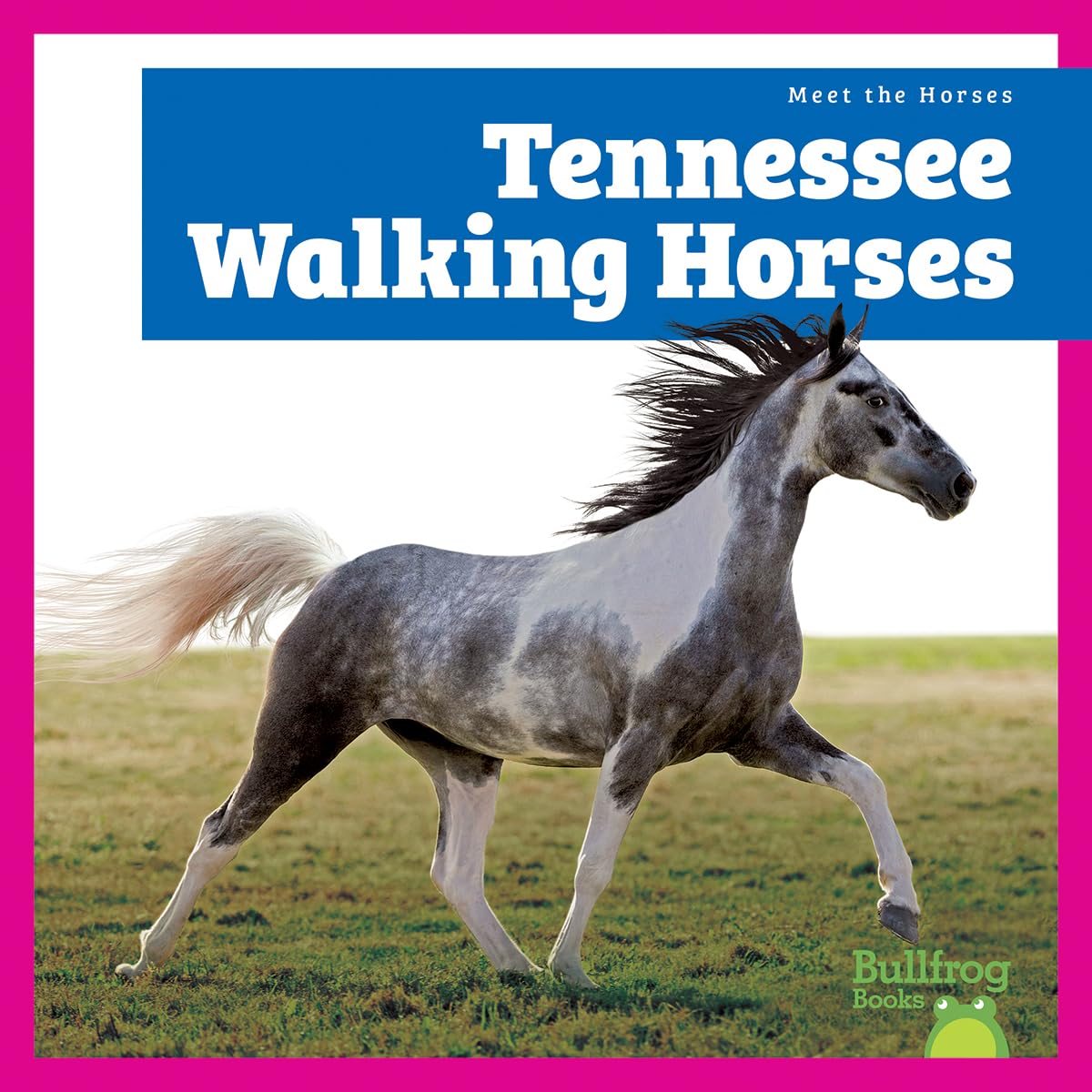 Tennessee Walking Horses (Meet the Horses)