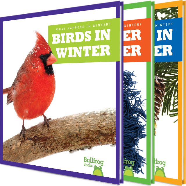 What Happens in Winter?
