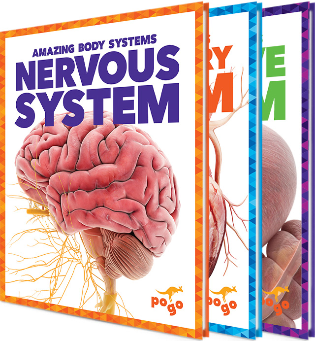 Amazing Body Systems