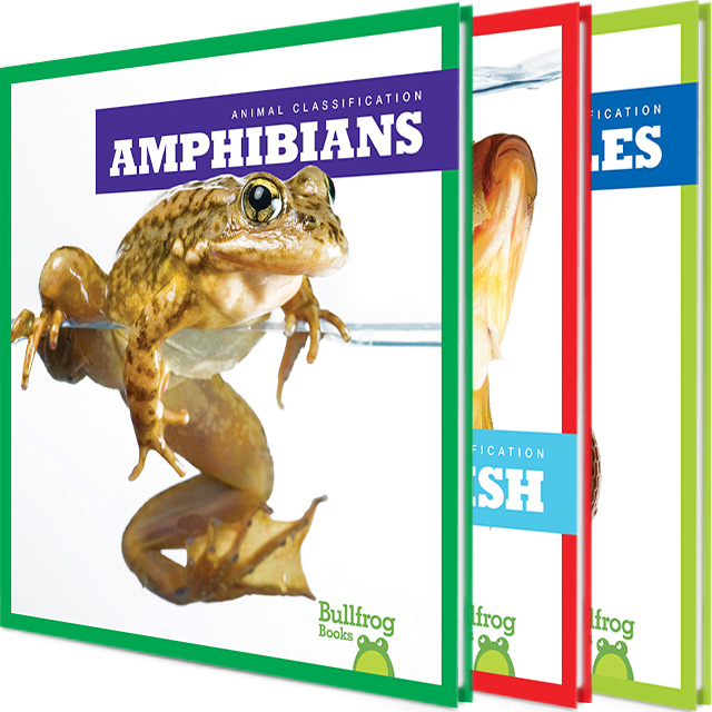 Animal Classification