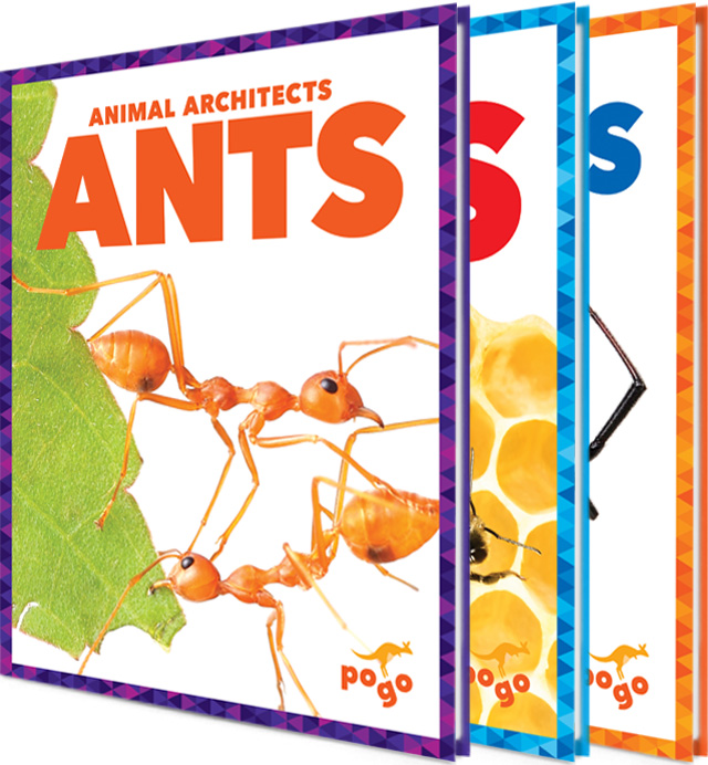 Animal Architects