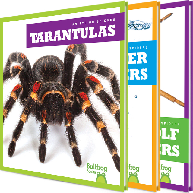 An Eye on Spiders