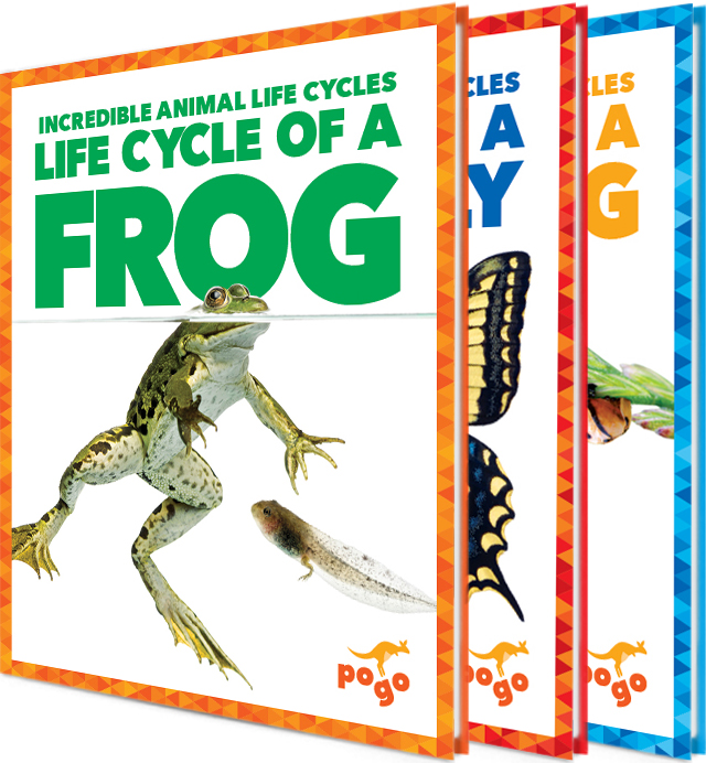 Incredible Animal Life Cycles