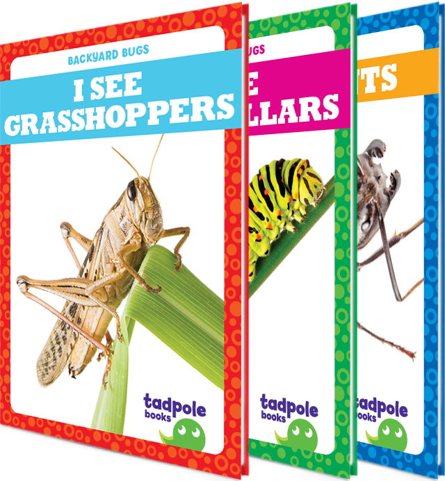 Backyard Bugs