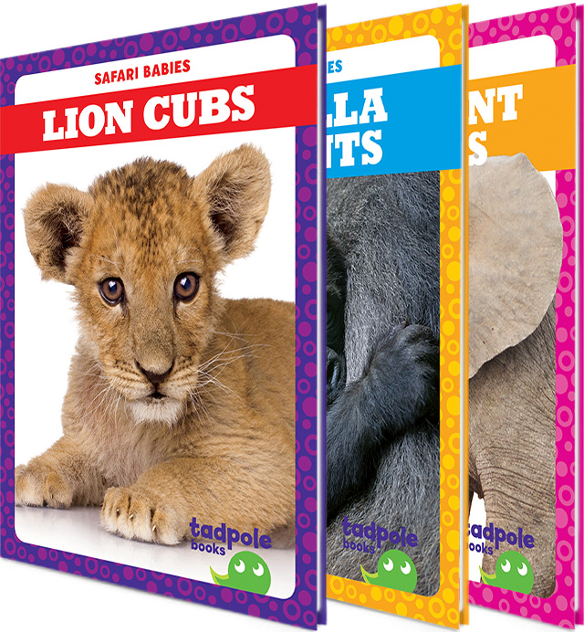 Safari Babies