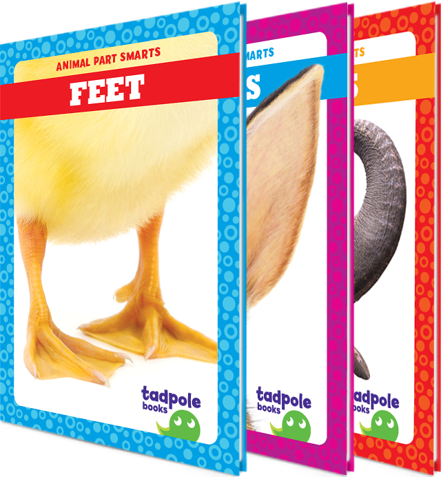 Animal Part Smarts