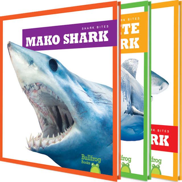 Shark Bites