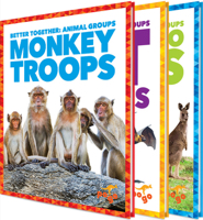 Better Together: Animal Groups