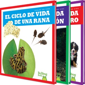 Ciclos de vida (Life Cycles)