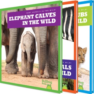 Baby Animals in the Wild!