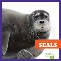 Seals
