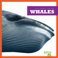 Whales