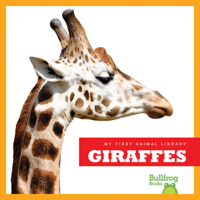 Giraffes