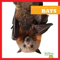 Bats