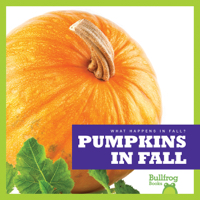 Pumpkins in Fall