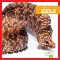 Eels